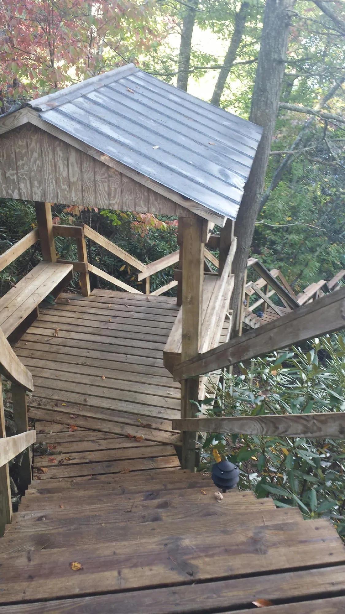 Metal roofed shelter over wooden steps on a wooded walkway — Skylight Repair & Installation work by our crew in Hoodsport